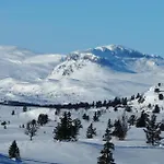 Gemuetliche Huette In Traumhafter Auf 1000 M