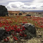 Gemuetliche Huette In Traumhafter Auf 1000 M آل