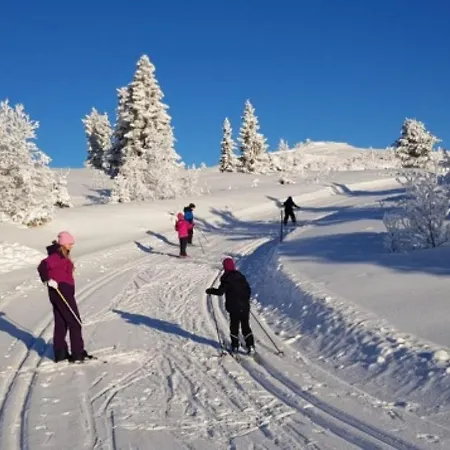 Gemuetliche Huette In Traumhafter Auf 1000 M * Al