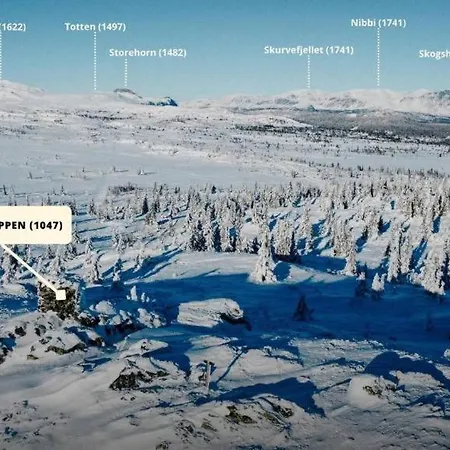 Gemuetliche Huette In Traumhafter Auf 1000 M Feriehus Al