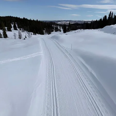 Gemuetliche Huette In Traumhafter Auf 1000 M Feriehus Al