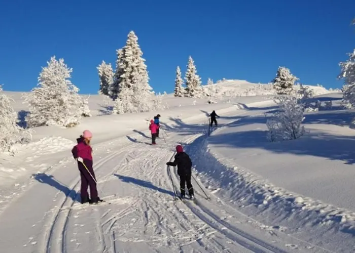 Gemuetliche Huette In Traumhafter Auf 1000 M * Ål