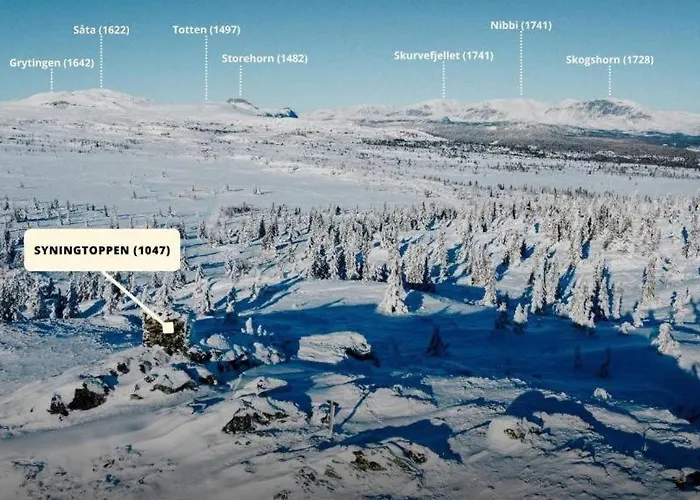 Gemuetliche Huette In Traumhafter Auf 1000 M Casa de Férias Ål